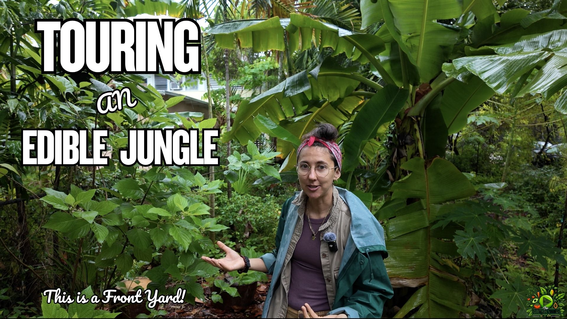 Finca Morada front yard food forest in Miami, Florida